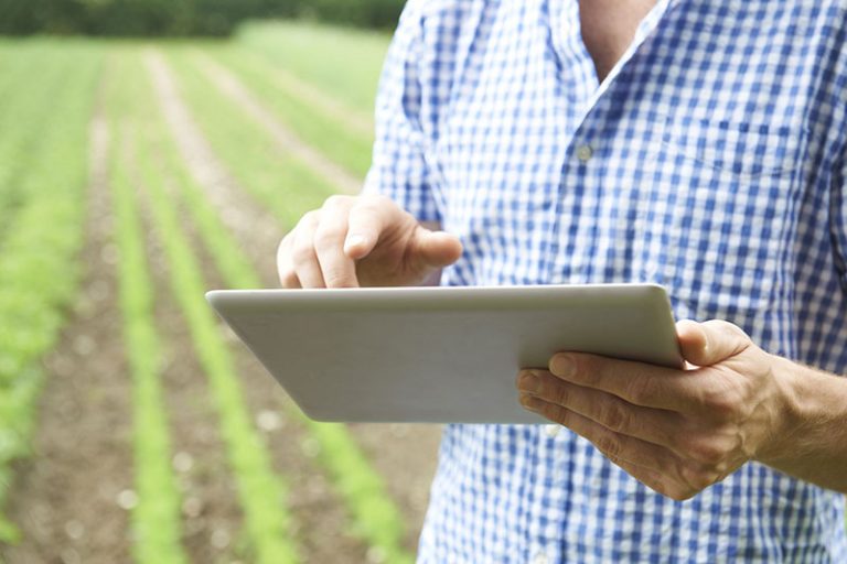 The Produce Traceability Initiative